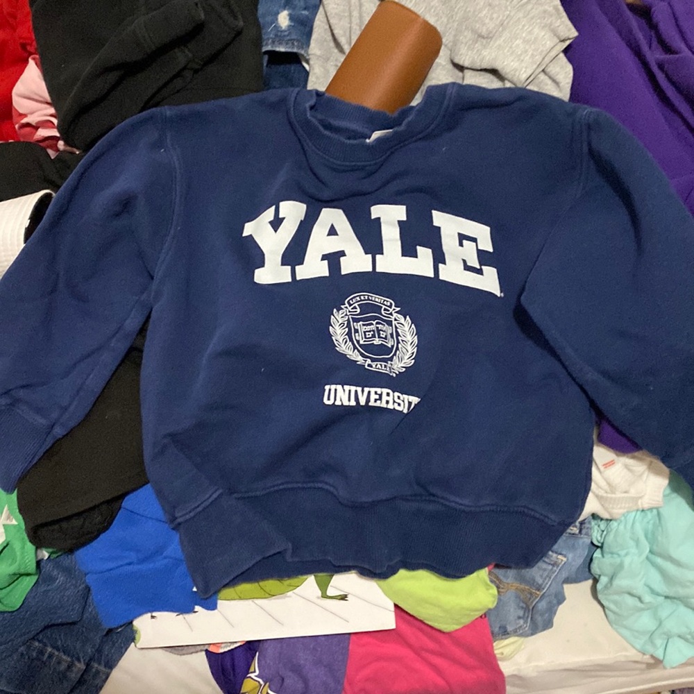 Zara Yale sweatshirt